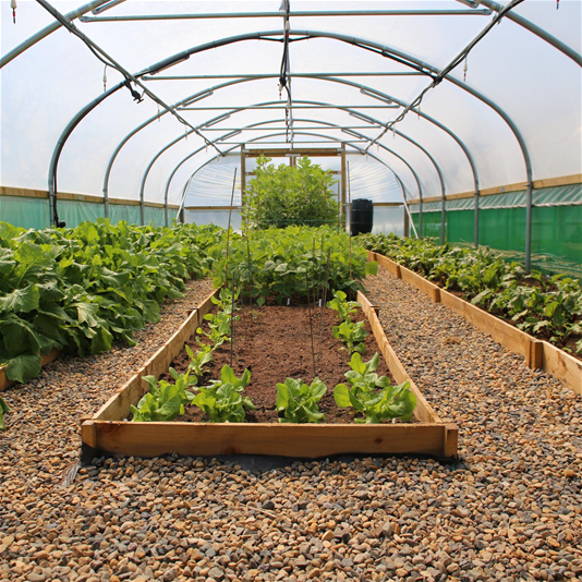 Build Your Own 18ft Wide Polytunnel - Commercial Polytunnels